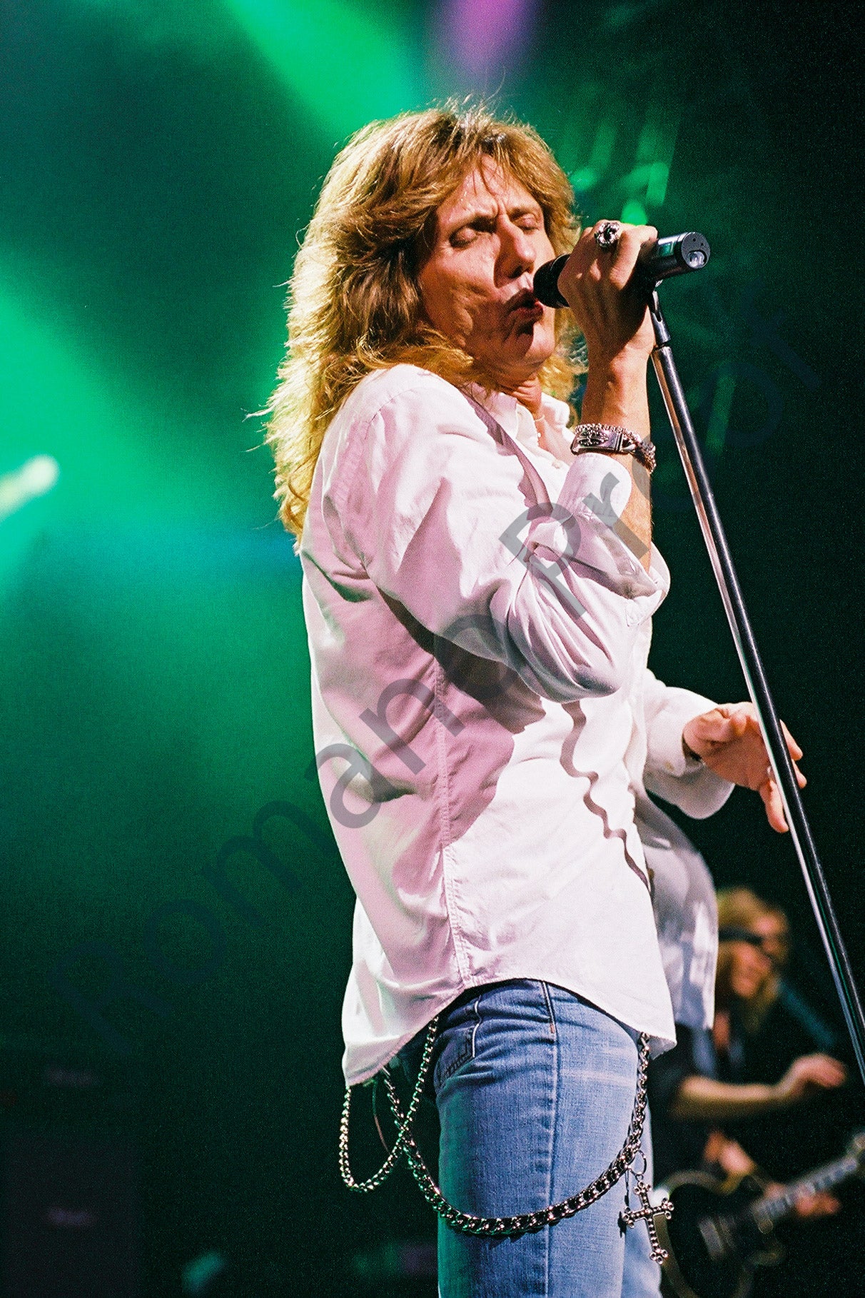 David Coverdale Whitesnake