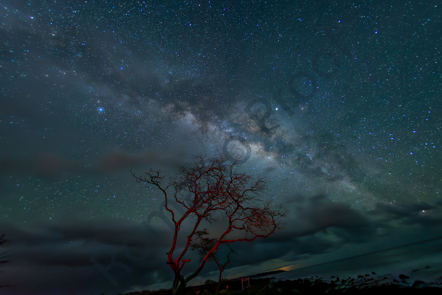 Milky Way La Peruse Red Tree
