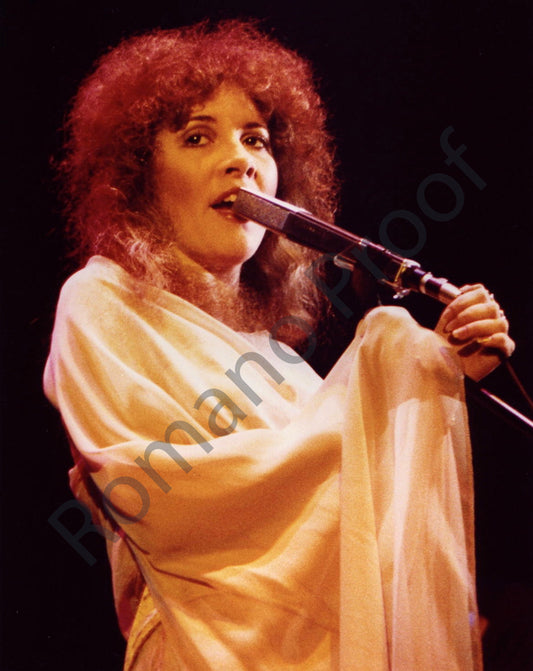 Stevie Nicks, Fleetwood Mac