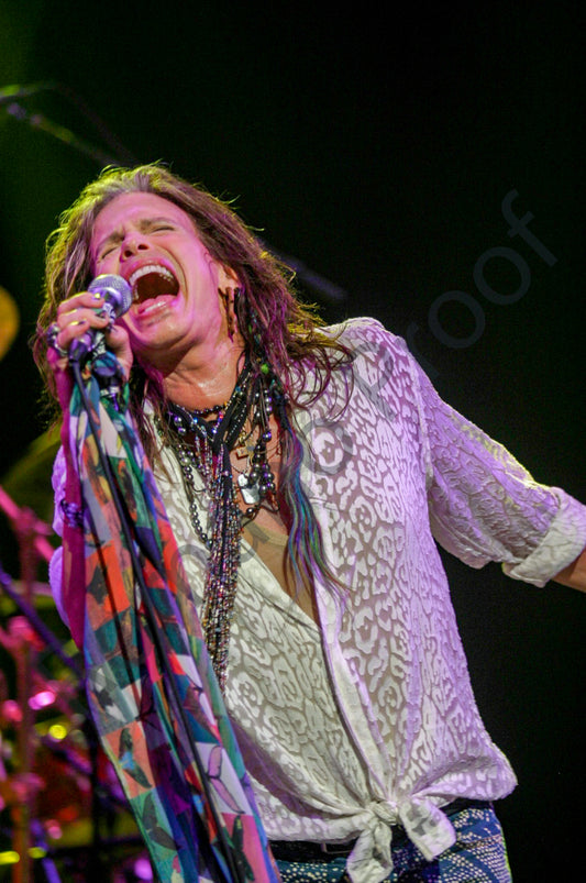 Steven Tyler