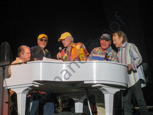 The Beach Boys