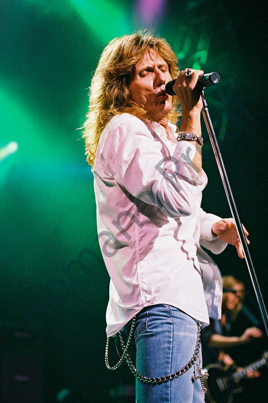 David Coverdale  Whitesnake