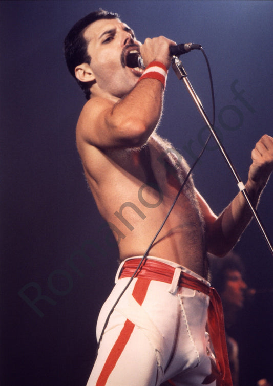 Freddie Mercury Queen