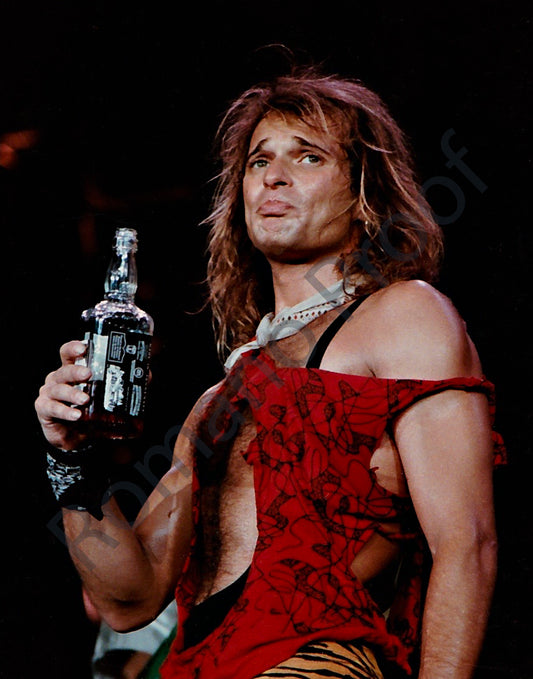 Van Halen David Lee Roth