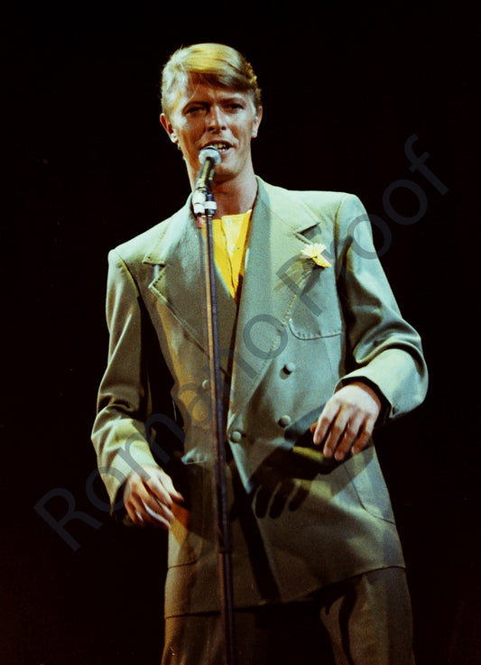 David Bowie
