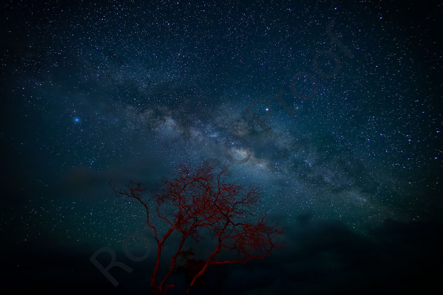 Milky Way La Peruse Red Tree