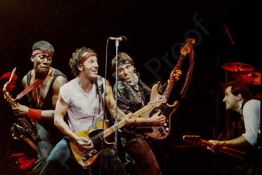 Bruce Springsteen and the E Street Band