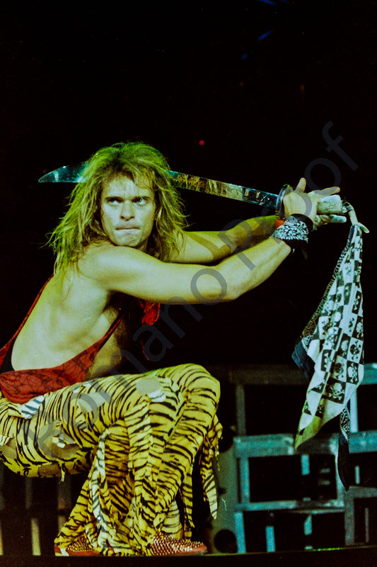 David Lee Roth, Van Halen
