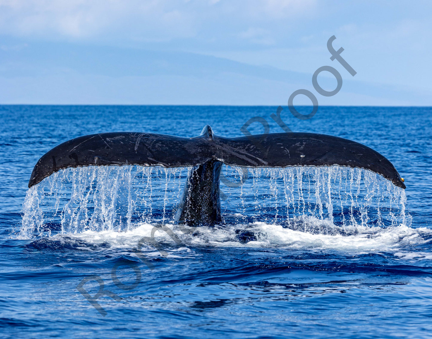 Tail Waterfall