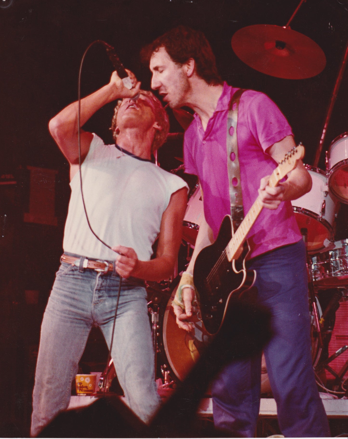 Roger Daltrey and Pete Townsend The Who